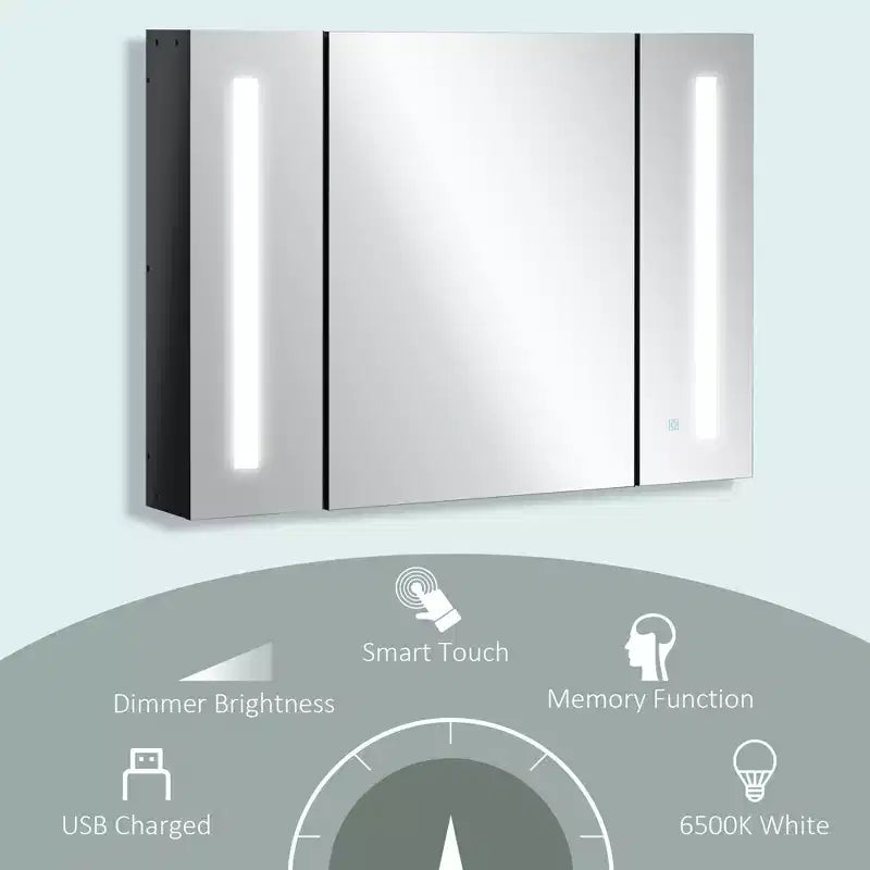 LED-lit Medicine Cabinet with Mirror